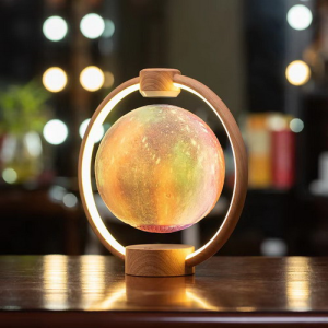 Magnetic levitation gift
